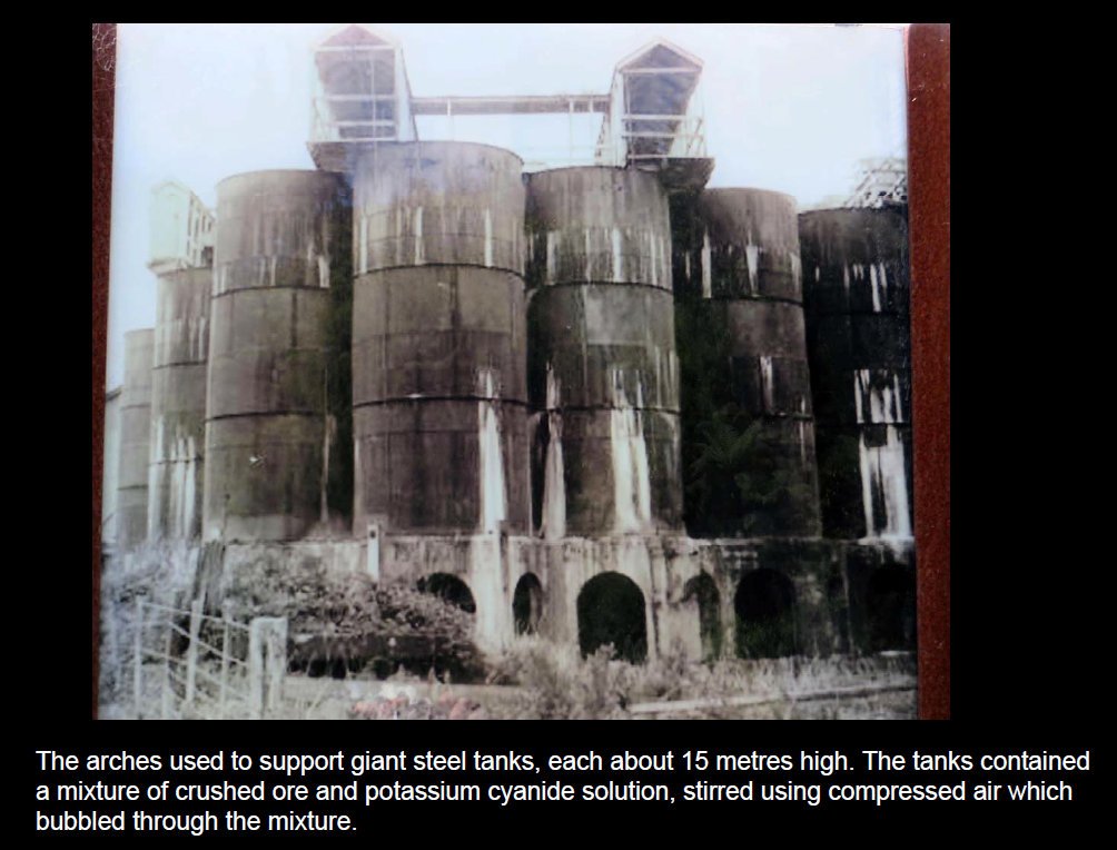 coro201533.jpg (157963 bytes)